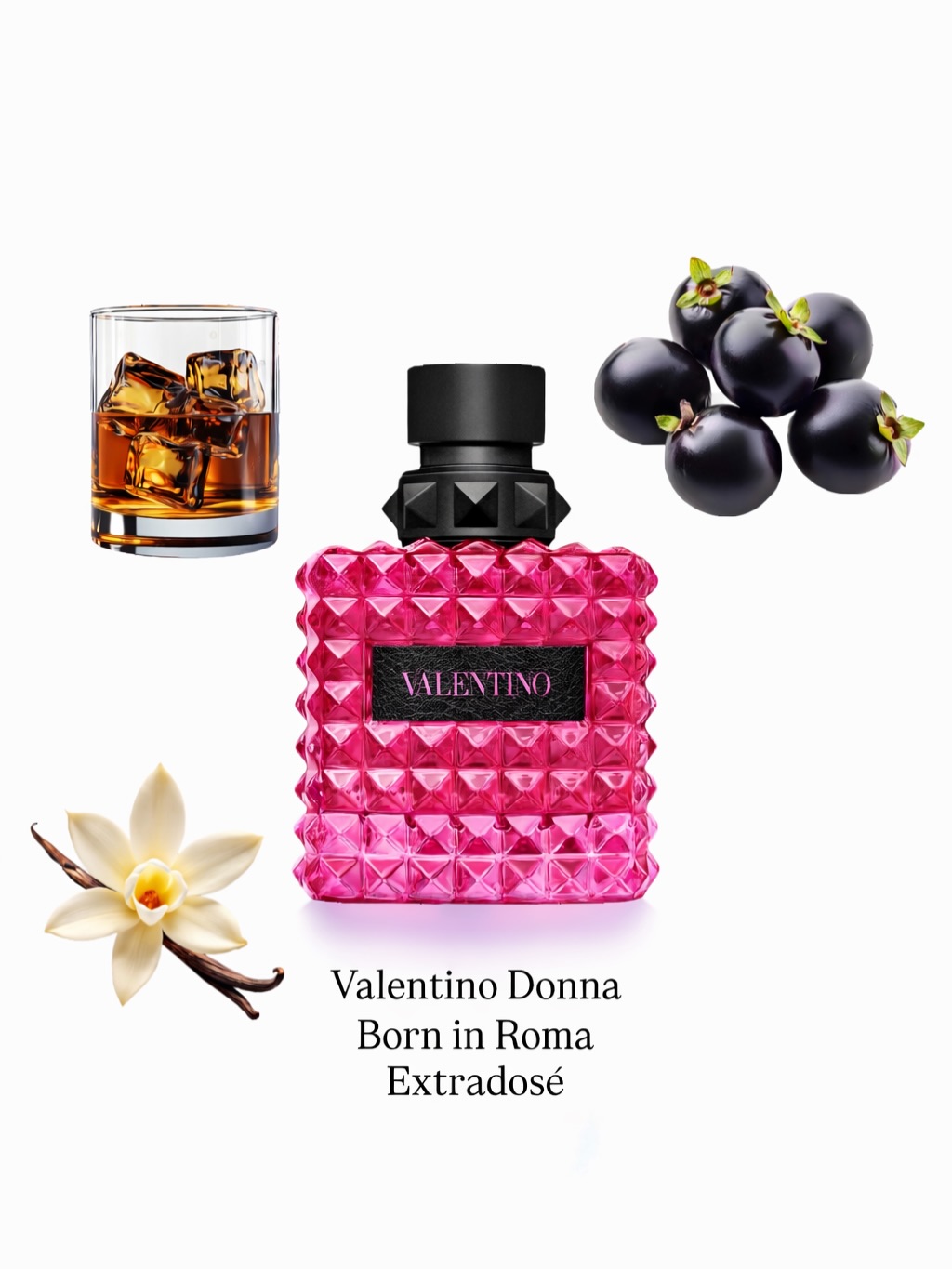 Donna Born in Roma Extradose