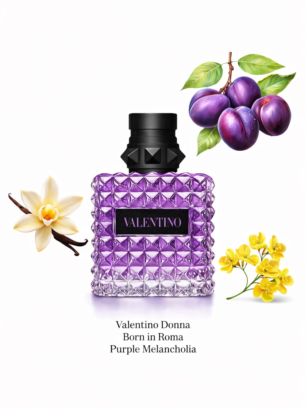 Donna Born in Roma Purple Melancholia